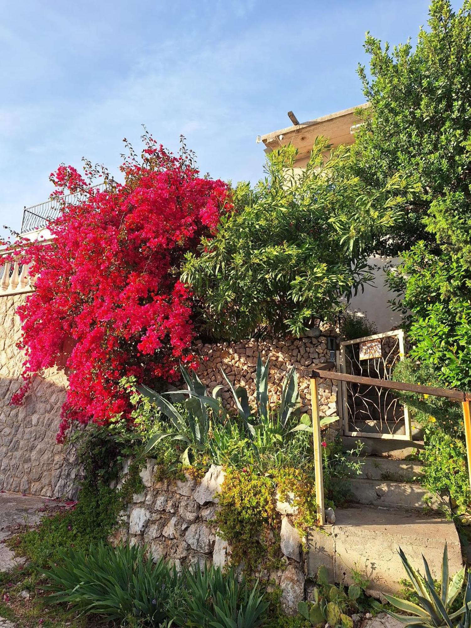 Villa Sunnyday House Masline Exterior foto